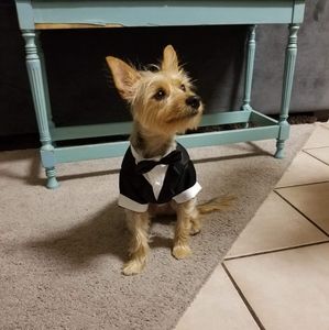 Meet your Posher, Leonore